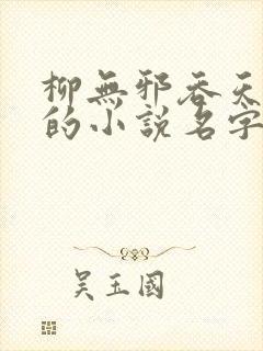 柳无邪吞天神鼎的小说名字