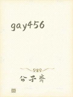 gay456封面