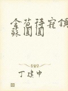 含苞待宠镇国公苏圆圆