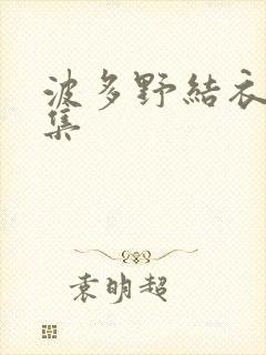 波多野结衣作品集封面