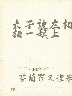 太子被左相和右相一起上