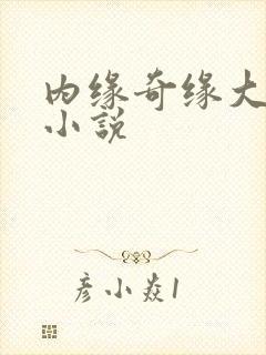 内缘奇缘大团圆小说封面