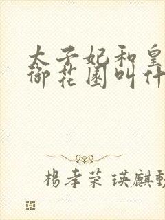 太子妃和皇帝在御花园叫什么小说