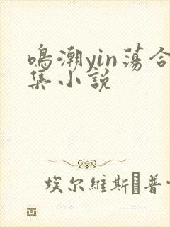 鸣潮yin荡合集小说
