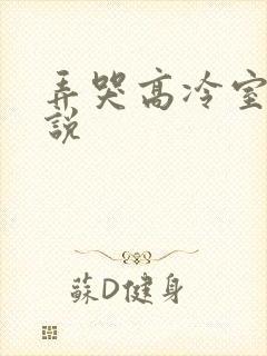 弄哭高冷室友小说封面