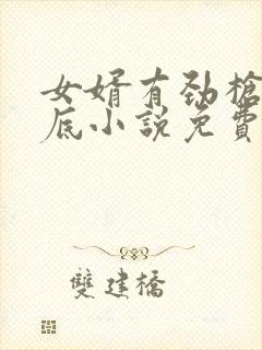 女婿有劲枪枪到底小说免费看