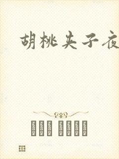 胡桃夹子夜未眠封面