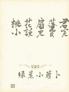 桃花扇落君不还小说免费完整版封面