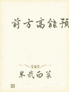 前方高能预警封面