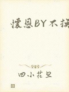 怀恩BY不换封面