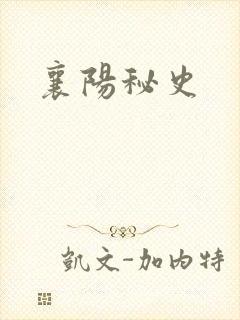 襄阳秘史