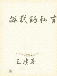 总裁的私有宝贝封面