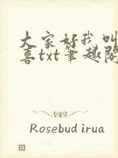 大家好我叫林小喜txt笔趣阁