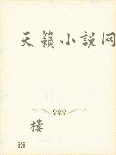 天籁小说网封面