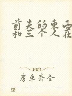 前夫的东西很大和三个人在一起封面