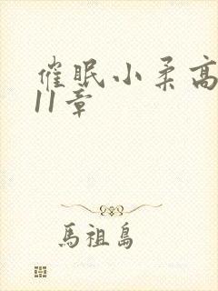 催眠小柔高达第11章