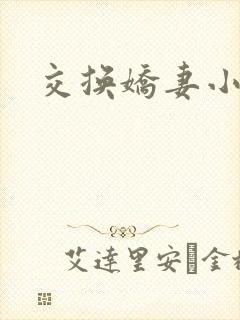交换娇妻小说封面