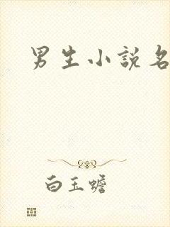 男生小说名字封面