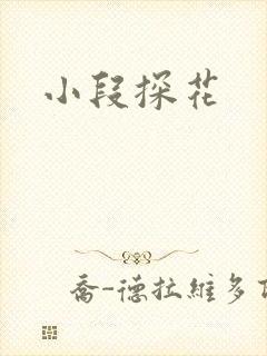 小段探花封面