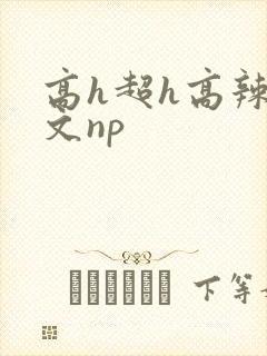 高h超h高辣h文np