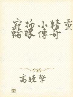 宠物小精灵之写轮眼传奇