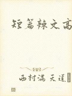 短篇辣文高h封面