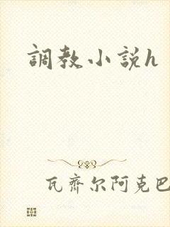 调教小说h