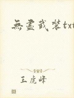 无尽武装txt