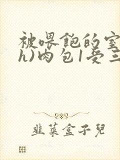 被喂饱的室友(h)肉包1受三攻