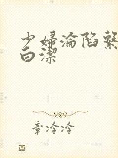 少妇沦陷系列之白洁封面