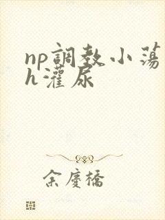 np调教小荡货h灌尿