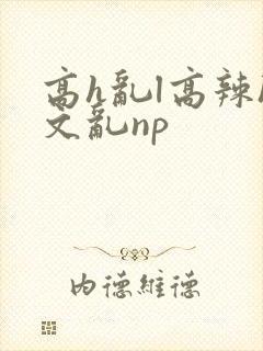 高h乱l高辣h文乱np封面