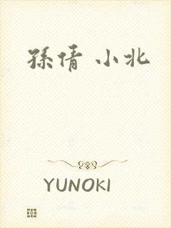 孙倩 小北封面