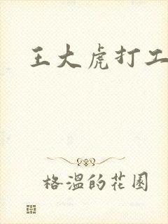 王大虎打工封面