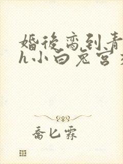 婚后脔到青梅哭h小白兔宫交h封面