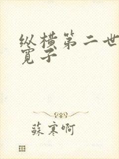 纵横第二世界 宽子