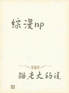 综漫np