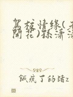 驾校情缘(老树开花)孙潇潇笔趣阁