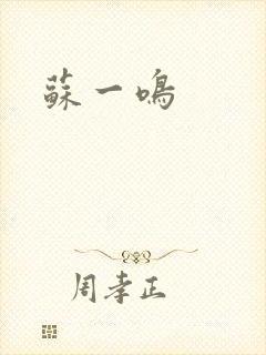 苏一鸣封面