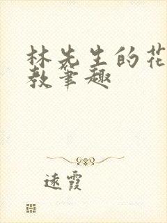 林先生的花式管教笔趣