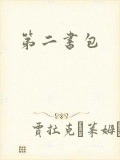 第二书包封面
