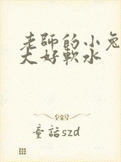 老师的小兔子好大好软水