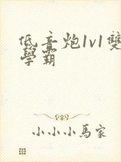 低音炮1v1双学霸