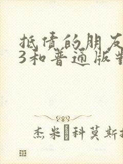 抵债的朋友麦子3和普通版对比