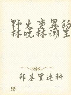 野火变异的父爱林晚林潮生封面