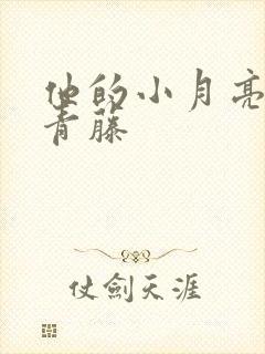 他的小月亮by青藤