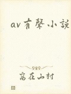 av有声小说