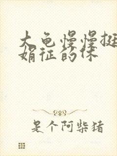 大龟慢慢挺进张娟征的休封面