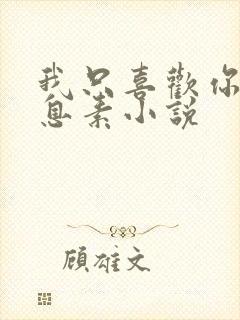 我只喜欢你的信息素小说封面