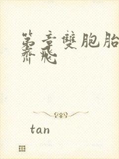 第章双胞胎姐妹齐飞